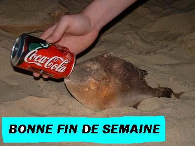 FIN DE SEMAINE